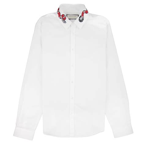 gucci oxford duke shirt with snake|Oxford Duke shirt with Kingsnake .